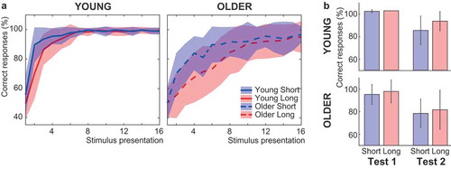 Figure 2. Behavioral performance of young and older adults in the reinforcement learning task. (a) Response accuracy per stimulus presentation in the short- and long-delay condition as the percentage of correct responses over stimuli. Response accuracy was lower in older compared to young adults. Both groups showed higher response accuracy in the short- compared to the long-delay condition (colored patches represent standard deviations). (b) Recall of the learned associations in the short- and long-delay condition immediately after learning (Test 1) and a week later (Test 2) as the percentage of correct responses over stimuli. Recall of the learned associations was worse in older than in young adults, and worse during Test 2 compared to Test 1. During Test 2, recall was better for associations learned in the long-delay condition in both age groups (error bars represent SD).