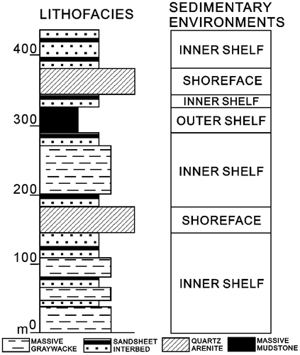 Figure 2. Simplified stratigraphic column of the Nangang Formation, which consists of about one and a half transgressive–regressive cycle. The sedimentary environments of the Nankang Formation fluctuated between shoreface and wave-dominated outer shelf (Modified from Yu & Teng, Citation1999).