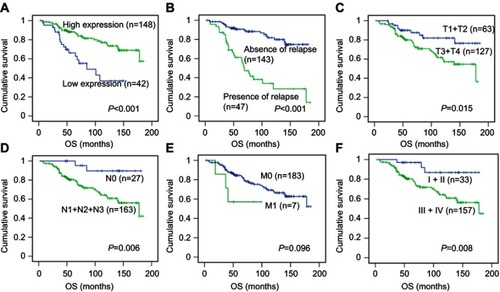 Figure 3 Kaplan–Meier survival analysis of associations between clinicopathological factors and overall survival (OS) in 190 patients with nasopharyngeal carcinoma (A–F).