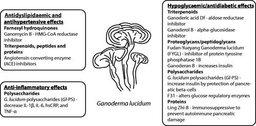 Figure 4. Potential mechanisms for cardiovascular disease prevention and therapy with constituents of Ganoderma lucidum.