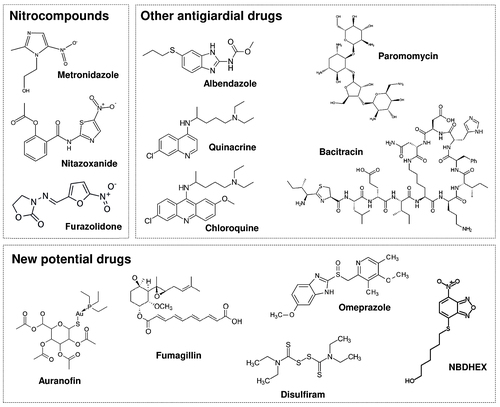 Figure 1 Current and novel drug options for the treatment of symptomatic giardiasis.