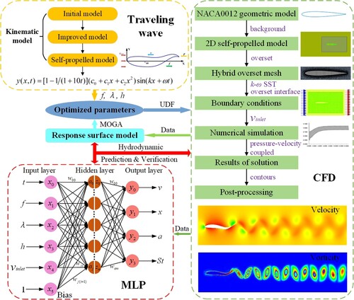 Figure 1. Hydrodynamic numerical simulation and prediction strategy.