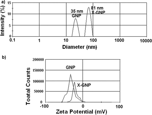 Figure 2. Size and charge distribution: Determination of size and surface charge of synthesised nanoparticles (GNP and X-GNP): (a) Dynamic light scattering (DLS) analysis of GNP and X-GNP suspension. (b) Estimation of surface charge of GNP and X-GNP by zeta potential measurement.