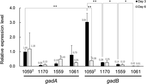 Figure 2. Relative expression levels of the gadA and gadB genes in L. brevis JCM 1059T, JCM 1170, JCM 1559, and JCM 1061 after three- and six-day fermentation.