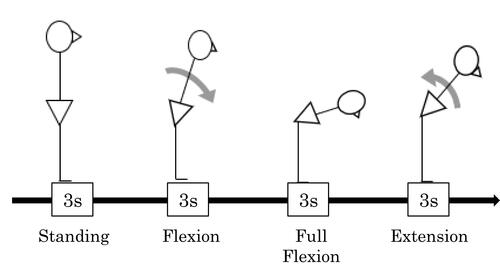 Figure 1 The standing, trunk flexion and re-extension task.