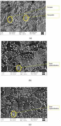 Figure 6. Micro-structure of normalised room temperature structure (a) before spheroidisation, (b) during spheroidisation of 3 hours and (c) during spheroidisation of 9 hours