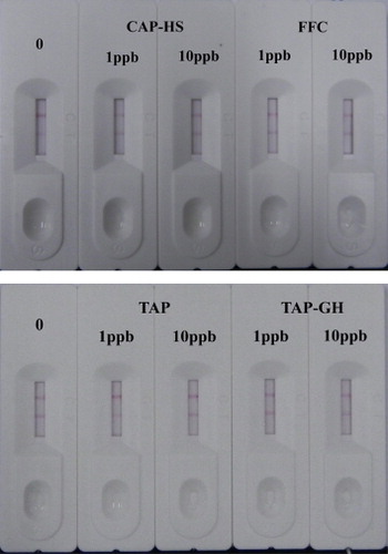 Figure 4. The specificity of ICT assay against CAP analogs (CAP-HS, FFC, TAP, TAP-GH) in raw milk (n = 3).