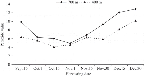 Figure 3 Peoxide value of “Nabali” olive oil as affected by harvest date and altitudes.