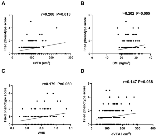 Figure 1 Correlation between frailty and eVFA, BMI and WHR. Spearman correlation coefficients were calculated between frailty phenotype score and (A) eVFA, (B) BMI, (C) WHR in women (middle-aged and older adults), (D) eVFA in older adults (men and women).