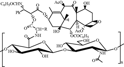 Figure 1. Structure of hyaluronic acid-amino acid-paclitaxel conjugate.