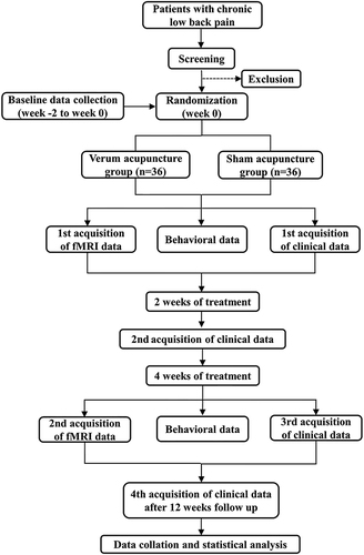 Figure 1 Study flowchart.