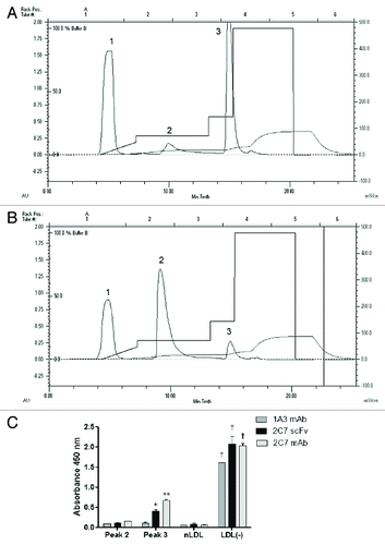 Figure 5. Isolation of LDL(-) from Ldlr−/− mice. FPLC chromatographic analysis of mice LDL (A) and human LDL (B), fractionated into peaks 1, 2 and 3. Mice LDL samples were fractionated by anion exchange liquid chromatography based on differences of superficial charges of LDL subfractions. The peak 1 contains components of the antioxidant cocktail used to avoid in vitro LDL oxidation. The reactivity of peaks 2 and 3 to 1A3 and 2C7 monoclonal antibodies and 2C7 scFv were tested by (C) ELISA assays with anti-his and HRP-conjugated anti-mouse antibodies. Absorbance was measured at 450 nm.