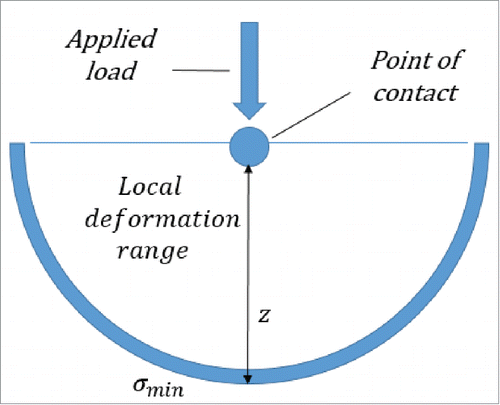 Figure 4. The local deformation range.
