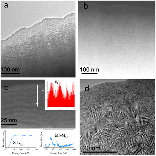 Figure 3. (a) TEM, (b, c) HAADF-STEM and (d) HRTEM micrographs of the MoS2-WC film. An EDX profile across the marked line and EELS spectra taken at the white cross are also shown in Figure 3(c).