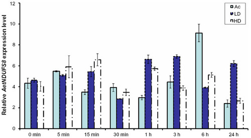 Figure 3 AetNDUFS8 mRNA expression levels in 5 d old female treated topically with permethrin/acetone at 2.5×10−5 μg (high dose, HD), and 1.25×10−5 μg (low dose, LD) per mosquito, and acetone (Ac) quantified by qPCR, with standard deviation (SD) for three replicates. Please note X-axis is not to scale. Five-day-old adult postexposure to permethrin at 0, 5, 15, 30, 60, 180, and 360 min, and 24 h.