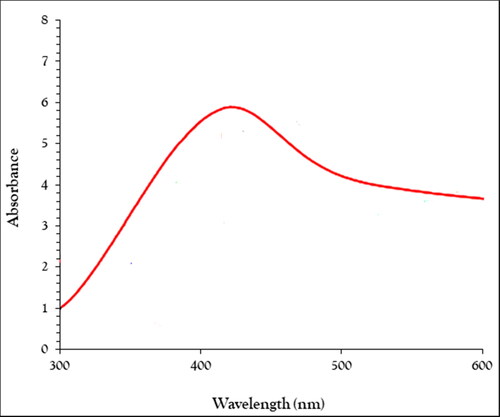 Figure 3. The UV–Vis analysis of AgNPs.