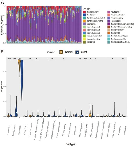 Figure 7. Immune cells filtration in MM samples and heathy controls: (A) The fractions of twenty-two immune cell types in MM samples and healthy controls. (B) Violin diagram of comparisons between 22 types of immune cells in MM samples and healthy controls. The threshold for p-value is .05 for significance. *: p < .05, **: p < .01, ***: p < .001, ****: p < .0001.