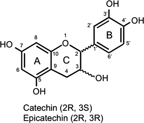 Supplementary Figure 1. Structure of catechins. Figura 1. Estructura de catequinas.