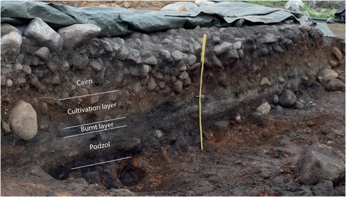 Figure 3. Picture of the vertical section of one of the analysed cairns (Cairn 6), with interpretation of stratigraphy, including layers accumulated before the cairn was constructed.