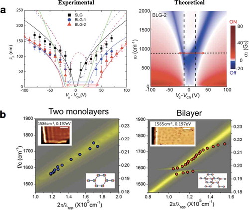 Figure 10. Plasmon polaritons in bilayer graphene. (a) Left panel: experimental measurement of voltage-dependent plasmonic wavelength in monolayer (SLG) and bilayer (BLG) graphene. Right panel: theoretical calculation of voltage- and frequency-dependent imaginary part of the optical conductivity. The double-headed arrows indicate plasmon-off region of bilayer graphene [Citation95]. (b) Near-field study of interaction between plasmons and intrinsic phonons in highly doped double-layer (left) and bilayer graphene (right) [Citation94]. The dispersed symbols represent experimental data and background color indicates the imaginary part of the calculated Fresnel reflection coefficient. Inset: representative near-field images of graphene plasmons and corresponding symmetry of phonon-induced charge densities. (a) Reproduced with permission [Citation95]. Copyright 2015, American Chemical Society. (b) Reproduced with permission [Citation94]. Copyright 2017, American Chemical Society.
