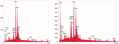 Figure 3. Energy dispersive spectroscopy (EDS) analysis of the synthesized nanoparticles (Double repeat).