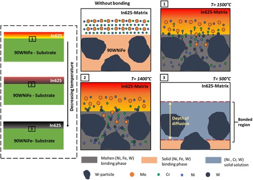 Figure 12. Bonding mechanism of 90WNiFe/In625 during wire-arc DED process.