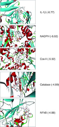 Figure 1. Docking assessment of glucomoringin with multiple targets of Alzheimer.