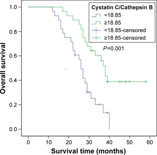 Figure 4 Kaplan–Meier curve of overall survival for patients with positive lymph node metastasis versus negative lymph node metastasis.
