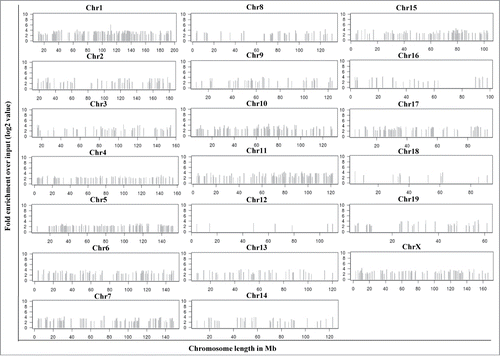 Figure 2. Chromosome wise distribution of 1370 mrhl RNA ChOP sequence reads. Each read shows at least fold4- enrichment over the input DNA with a statistical significance of P < 0.01. The sequences were found to be located across the length of most of the mouse chromosomes except the Y-chromosome.