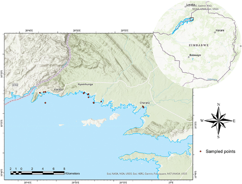 Figure 1. Map showing the sampling location in Sanyati Basin in Lake Kariba.