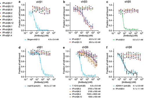 Figure 7. Inhibition of cell adhesion to ligands on substrates. Expi293 αV−/α5− KO cells transiently transfected with the indicated integrins were mixed with IPI anti-integrin antibodies and assayed for adhesion to ELISA plates coated with 30 nM fibronectin fragment (Fn3 7–12) (a-d) or with 10 nM GARP ectodomain/proTGFβ1 (e-f). After 1 hr at 37°C, the fluorescent intensity of mCherry, which was co-expressed with the transfected β-subunit using a self-cleaving P2A peptide, was recorded before and after washing away nonadherent cells. The fraction of cells bound at each antibody concentration was fitted individually or globally (if more than one antibody was fitted) to a four-parameter dose–response curve, with global fit to shared bottom and top and individual fit to IC50 and hill slope. Values are means and s.d. From triplicate measurements.