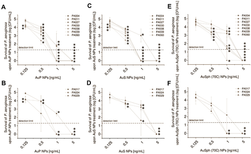 Figure 2 Bactericidal activity of gold nanoparticles having the shape of peanuts (AuP NPs; (A and B)), stars (AuS NPs; (C and D)) and spherical, porous nanoparticles (AuSph (70C) NPs; panels E-F) against 10 clinical strains of P. aeruginosa isolated from the sputum collected from the lung of cystic fibrosis patients. Strains were divided into non-MDR (A, C and E) and MDR-strains (B, D and F). Results are presented as mean ± SD. *Indicates statistical significance (p<0.05) when compared to untreated control.