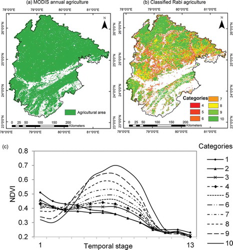 Figure 6. Identification of Rabi agriculture in Bundelkhand region for season 2004–2005. (a) MODIS annual agriculture in 2005. (b) Rabi agriculture in 2004–2005. (c) Temporal curves of spatially averaged NDVI in 2004–2005.