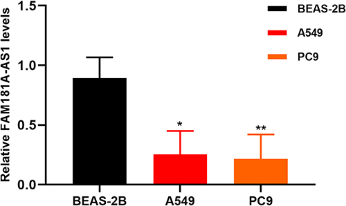 Figure 8 Expression of FAM181A-AS1 in A549, PC9, and Beas-2B cell lines. *P<0.05; **P<0.01.