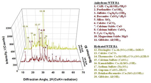 Figure 4. XRD patterns of anhydrous WTE BA and hydrated WTE BA