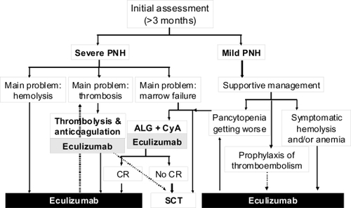 Figure 7 Algorithm of the clinical management of paroxysmal nocturnal hemoglobinuria (PNH) in the eculizumab era. Once PNH is confirmed, all patients suffering from its severe form should receive eculizumab to control intravascular hemolysis; in case of concomitant thromboembolic manifestations an appropriate anticoagulant and/or antithrombotic therapy should be added. In the presence of concomitant severe marrow failure, the indication of an immunosuppressive regimen should be discussed, and programmed possibly before eculizumab treatment (no data on concomitant therapy are available so far). Patients suffering from mild PNH should receive supportive therapy according to the main clinical manifestations: symptomatic hemolysis and/or anemia should be treated by eculizumab, signs of marrow failure may require immunosuppression. Even in this subset the use of eculizumab is reasonable as prophylaxis of thromboembolic events. Indications to stem cell transplantation remain severe marrow failure not responding to immunosuppression (or even as first line in young patients, if a low risk transplant procedure is possible) and possibly refractory thromboembolic disease (but the risk-benefit ratio in comparison to eculizumab has to be demonstrated in this setting).