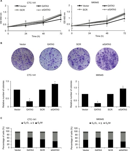 Figure 3 Restoration of GATA3 levels inhibits the proliferation of gastric carcinoma cells.