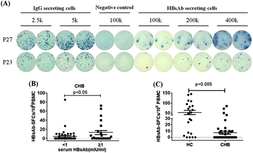 Fig. 3 HBs-specific B cells in chronic hepatitis B (CHB) patients.a RepresentativeELISpot data from two CHB patients P27 and P23 were shown. Each condition was performed in duplicates. b Patients with lower level of serum HBsAb (<1 mIU/ml) had relatively fewer HBsAg-specific B cells, compared to those patients with higher level of serum HBsAb (>1 mIU/mL). c The numbers of HBs-specific B cells among 106 PBMC population were shown in each individual from HC group and CHB patient group