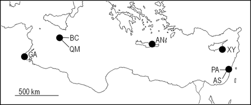 Figure 1. Pinctada imbricata radiata. Location of sampling sites. AN: Agios Nikolaos; AS: Ashkelon; BC: Bahar ic-Caghaq; GA: Ghannouch; PA: Palmachim; QM: Qalet Marku; XY: Xylofagou.