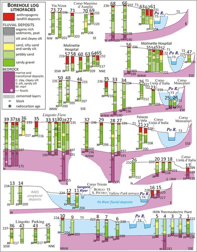 Figure 3. Stratigraphic logs along the Po River in southern Turin: the RAES and Po sediments are reported in white and light blue colour respectively. Numbers refer to the borehole location in the Main Map.