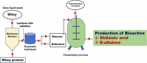 Figure 1. Systematic representation of utilization of dairy waste (whey) for the production of APIs.