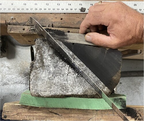Figure 1. Subsampling of the conserved dendrochronology framing timber sample F14.2_2912. The extracted lath was then cut using a scalpel under magnification to collect the latewood from each annual ring (photo: R.J. Bale).