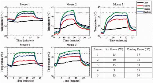 Figure 7. Temperature data taken from five independent murine bladder hyperthermia studies. Temperature increases occur when RF power is turned on (around the 2–5 min mark) and decreases occur when RF power is turned off (around the 18–20 min mark). The dotted line signifies 42°C.