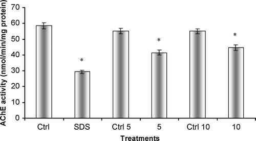 Figure 6 In vitro effects of ethanol on acetylcholinesterasic activity of total head homogenates of G. holbrooki previously treated and non-treated with SDS. Ctrl – non-treated homogenate; SDS – homogenate previously incubated with SDS, in a final concentration of 12.5 μg/L; Ctrl 5 – homogenate incubated with 10 μl/ml of ethanol; 5 – homogenate simultaneously incubated with SDS in a concentration of 12.5 μg/L and 10 μl/ml of ethanol; Ctrl 10 – homogenate incubated with 20 μl/ml of ethanol; 10 – homogenate simultaneously incubated with SDS in a concentration of 12.5 μg/L and 20 μl/ml of ethanol. Values are the mean of three replicate assays and corresponding standard error bars. *-Significant differences, p < 0.05.