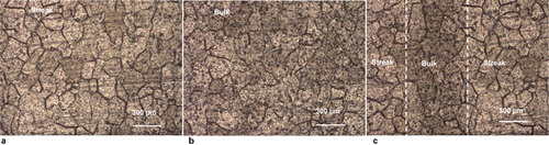 Figure 8. Optical micrographs of alloy substrate after film stripping and alkaline etching