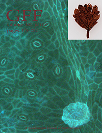 Cover image for GFF, Volume 141, Issue 3, 2019