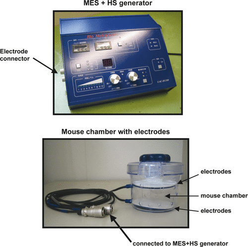 Figure 3. The apparatus for MES + HS treatment. The upper panel shows the generator or Biometronome™ that delivers MES and/or heat shock in which current and heat can be controlled. The lower panel shows the apparatus used in our experimental work for in vivo treatment. The mouse is placed in the well ventilated chamber in contact with moistened cloth-padded rubber electrodes which are connected to the Biometronome™.