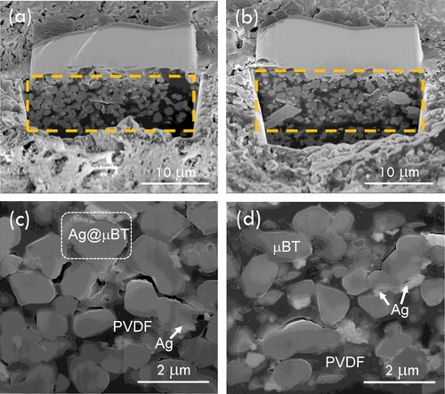 Figure 3. SEM images of outer surface and inner layer (dashed rectangular area) of Ag@µBT/PVDF composites with (a, c) fAg@µBT = 0.20 and (b, d) fAg@µBT = 0.49.