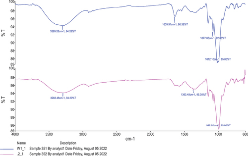 Figure 3. FTIR spectra of nano-encapsulated probiotic starch nanoparticles.