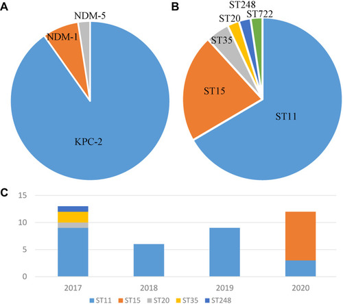 Figure 2 Molecular epidemiology of CRKP-BSI. Distribution of carbapenemase genes (A) and sequence types (B) of the CRKP isolates; (C) distribution of sequence types stratified by year.